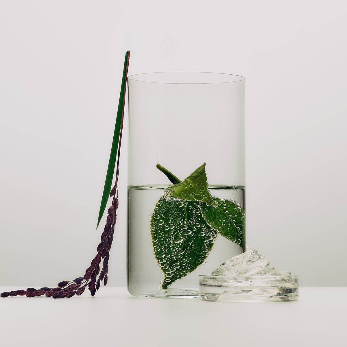 Dewy Milk Moisturizer ingredients: zinc hyaluronate, prebiotic green tea extract, Japanese purple rice